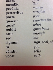 Learning vocab in Latin when I saw this