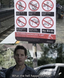 Leave those damn birds alone already