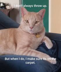 Leroy the most interesting cat in the world