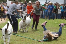 Lets bring our cute little goat to the county fair It will be fun they saidFML