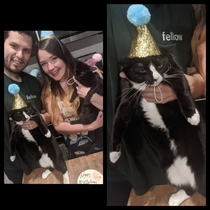 Lets get the cats involved in the birthday party since we cant invite anyone else they said Theyll have a blast they said