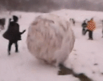 Lets make a giant snowball and set it free what could possibly go wrong