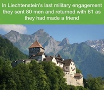 Liechtensteins last military engagement was a success