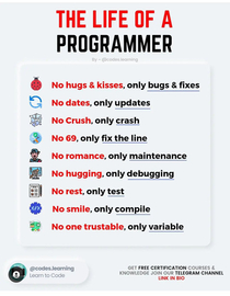 Life of a programmer