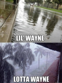 Lil Wayne Lotta Wayne