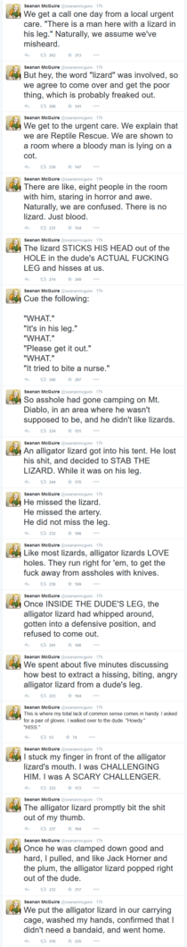 Lizard Story