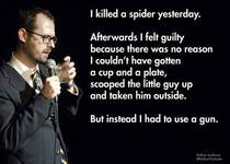 Logical solution to a spider in your house