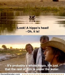 Look A hippos head