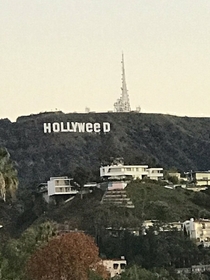 Looks like the security took the night off last night in Hollywood