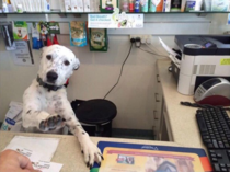Maam Im doing everything i can
