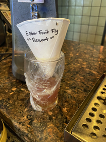 made a fruit fly trap at my bar - People are dying to get in