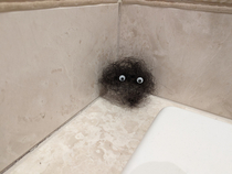 Made a Miyazaki soot ball from my wifes hair that falls all over the damn place