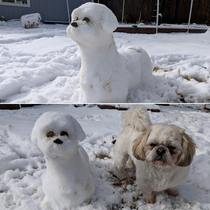 Made a snow Shih Tzu for Hin to play with