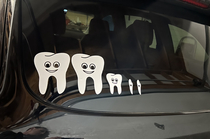 Made this family car sticker for my wife who is a dental hygienist and have been told many appreciate the dogs in particular