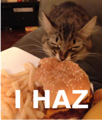 Maebe sumtimes you can haz 