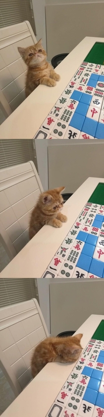 Mahjong is too much for me