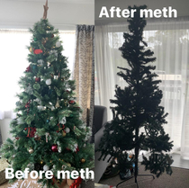 Make sure your trees stay clean this year