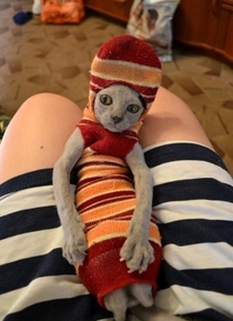 Master has given Dobby a sock
