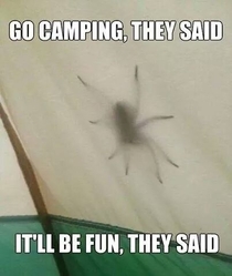 Me and my tent would become a pile of ash