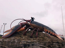 Me riding a giant lobster sculpture