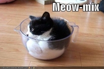 Meow-Mix