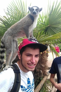 Met a lemur on vacation Then bought a new hat