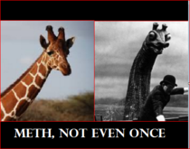 meth not even once even for a giraffe