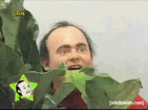 MFW I get back from the bar and decide to pee in the bushes in front of my apartment