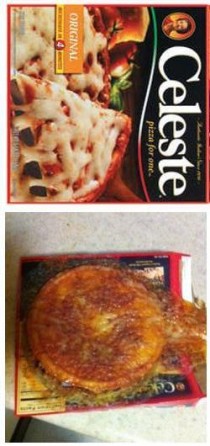 Microwave Pizza Or Cardboard amp Vomit