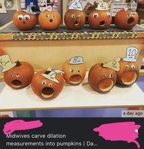Midwives cut womens dilation size into pumpkins for a truly horrifying sight
