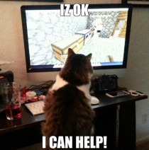 Minecraft kitty