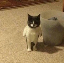 Mom says its my turn on the Xbox