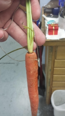 Mom wanted a  carrot necklace