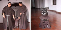 Monastery Adopts Adorable Stray Dog Who Now Lives Like a Friar