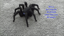 More of the d printed spider