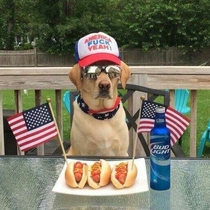 Most Murican dog ever