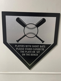 Mounted on the wall above the only toilet in a mens restroom at a local baseball training academy