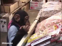 MRW I am ordering at Subway without knowing what I want ahead of time 