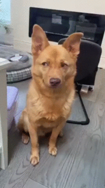 MRW I farted silently in a meeting and the smell is hitting the crowd