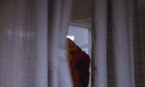 MRW I get out of my bed naked and notice that there is a double decker tourist bus right outside my window