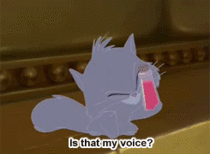 MRW i hear a recording of my own voice