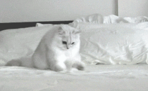 MRW I lay down in bed and cant find my phone