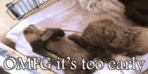 MRW I need to get up for an early-morning shift