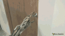 MRW I try to sneak home quietly after a night of drinking