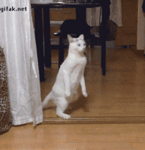 MRW Im going to get a drink from the bar and Im already drunk