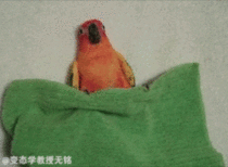 MRW Im in bed and I hear a strange noise