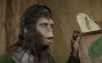 MRW someone blames the simian flu on apes