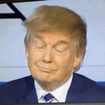 MRW someone reposts my Trump gif a day later for  more points