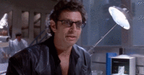 MRW someone showed me a subreddit dedicated to Jeff Goldblum after I told them I did not believe them