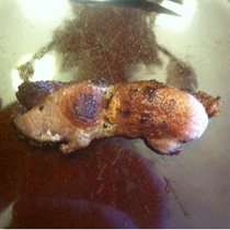 My bacon looks like a pig Couldnt do it again if I tried